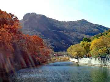 新澳天天开好彩大全，水洗高岭土